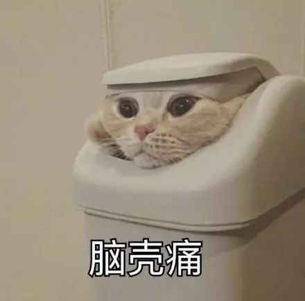 123.jpg