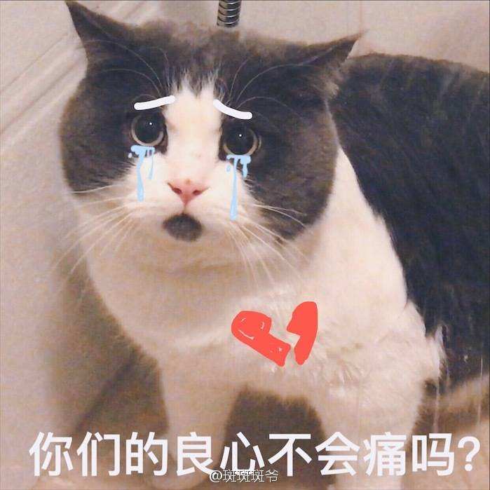 timg (2).jpg